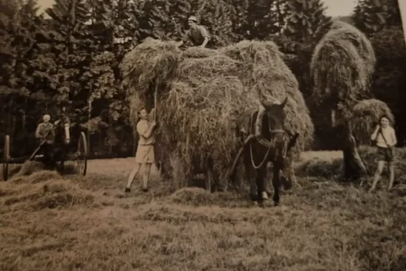 Spedition Wernscheidt Meinerzhagen Firmengeschichte 1950
